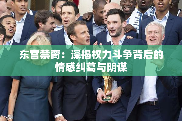 东宫禁脔：深揭权力斗争背后的情感纠葛与阴谋