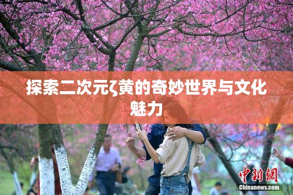 探索二次元ζ黄的奇妙世界与文化魅力