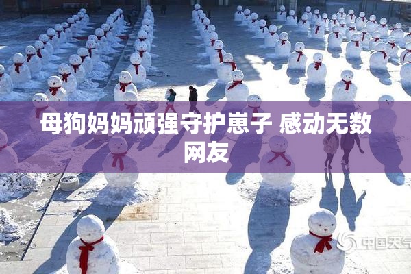 母狗妈妈顽强守护崽子 感动无数网友