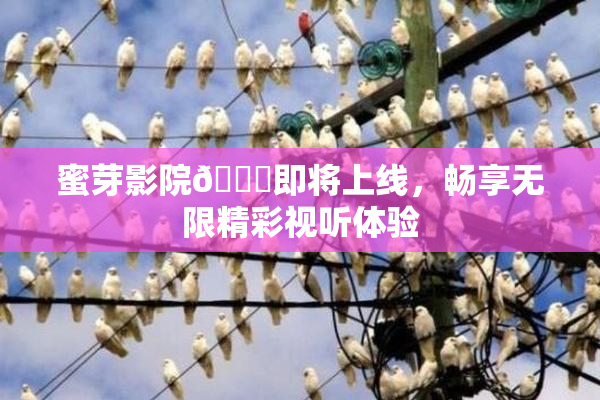 蜜芽影院🔞即将上线，畅享无限精彩视听体验