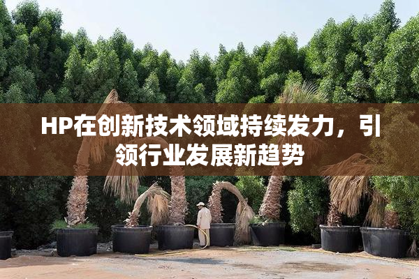 HP在创新技术领域持续发力，引领行业发展新趋势
