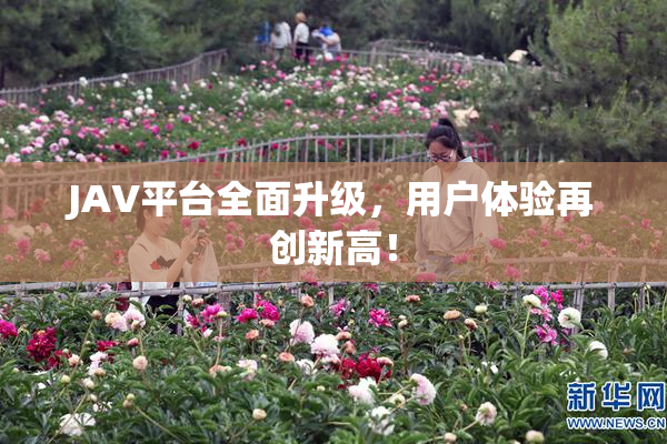 JAV平台全面升级，用户体验再创新高！