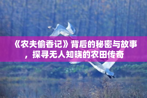 《农夫偷香记》背后的秘密与故事，探寻无人知晓的农田传奇