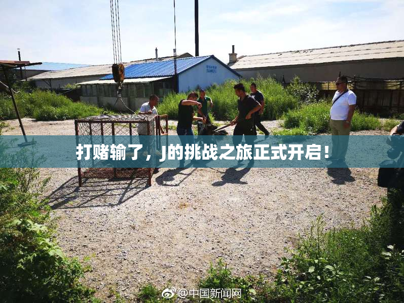 打赌输了，J的挑战之旅正式开启！