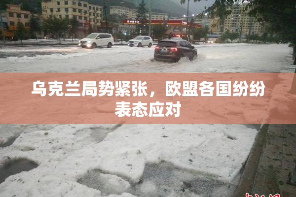 乌克兰局势紧张，欧盟各国纷纷表态应对