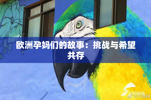 欧洲孕妈们的故事：挑战与希望共存