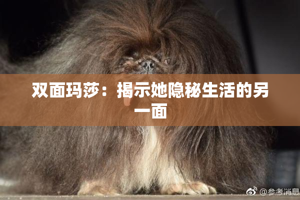 双面玛莎：揭示她隐秘生活的另一面