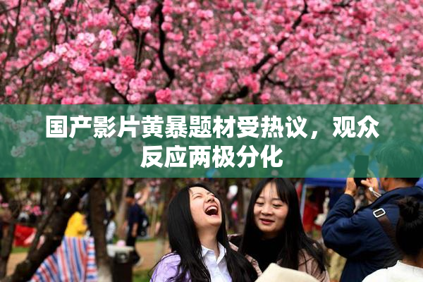 国产影片黄暴题材受热议，观众反应两极分化