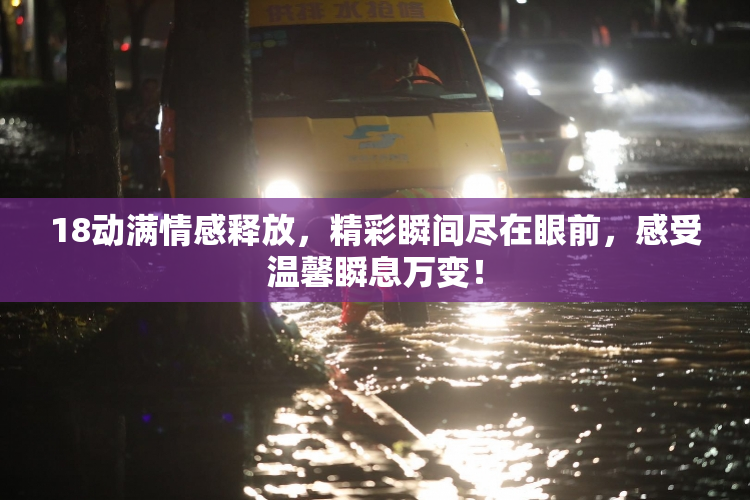18动满情感释放，精彩瞬间尽在眼前，感受温馨瞬息万变！