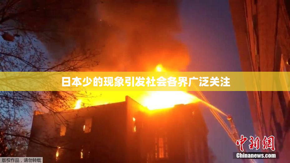 日本少的现象引发社会各界广泛关注