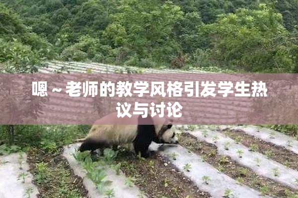 嗯～老师的教学风格引发学生热议与讨论