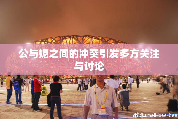 公与媳之间的冲突引发多方关注与讨论