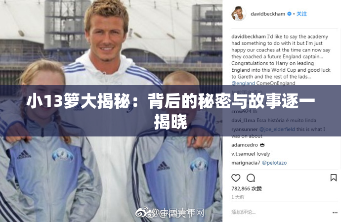 小13箩大揭秘：背后的秘密与故事逐一揭晓