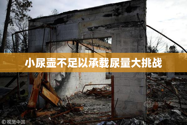 小尿壶不足以承载尿量大挑战