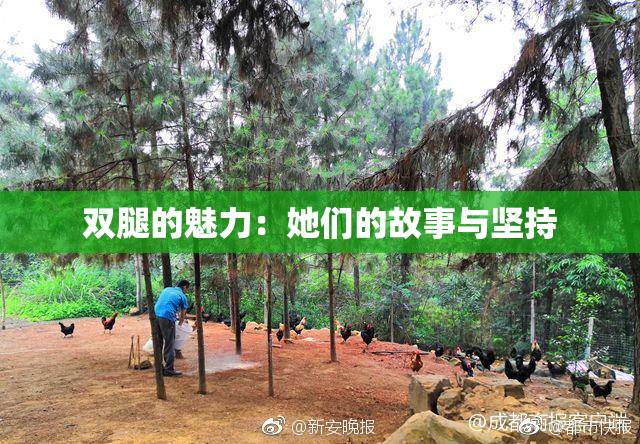 双腿的魅力：她们的故事与坚持