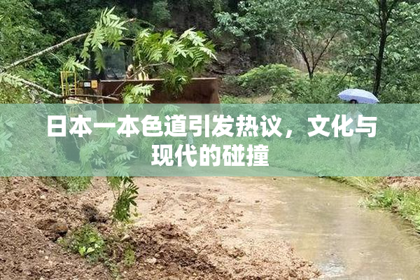 日本一本色道引发热议，文化与现代的碰撞