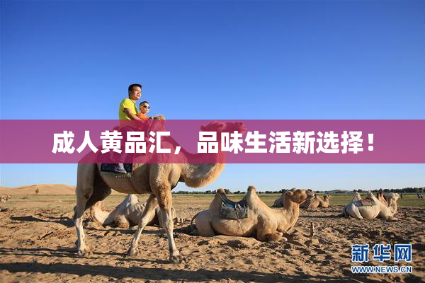 成人黄品汇，品味生活新选择！