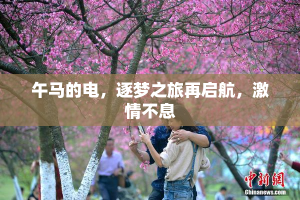 午马的电，逐梦之旅再启航，激情不息