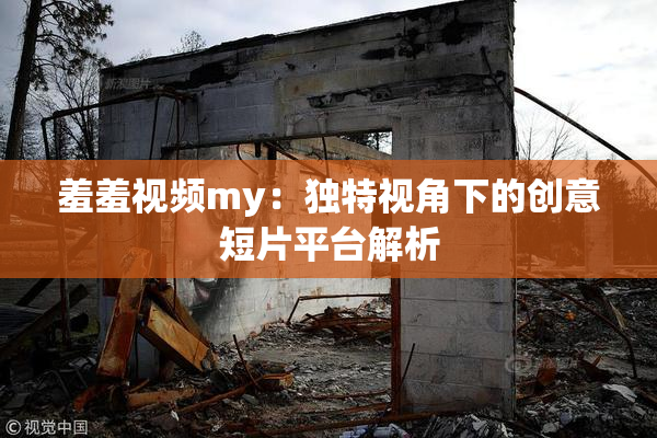 羞羞视频my：独特视角下的创意短片平台解析