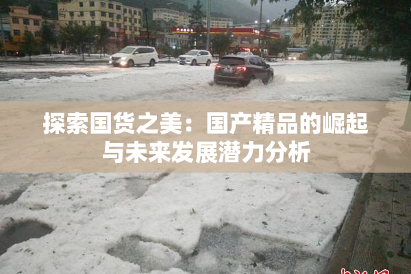 探索国货之美：国产精品的崛起与未来发展潜力分析