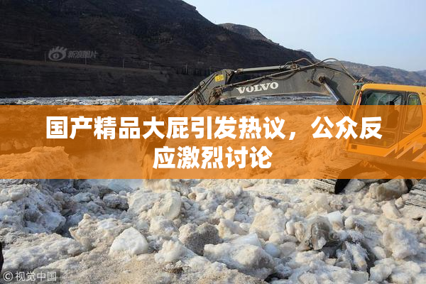 国产精品大屁引发热议，公众反应激烈讨论