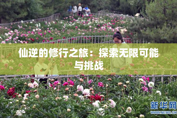 仙逆的修行之旅：探索无限可能与挑战