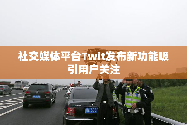 社交媒体平台Twit发布新功能吸引用户关注