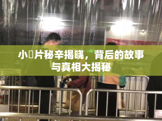 小黃片秘辛揭晓，背后的故事与真相大揭秘
