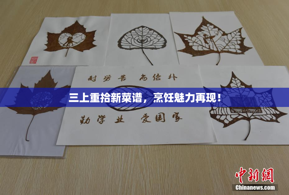 三上重拾新菜谱，烹饪魅力再现！