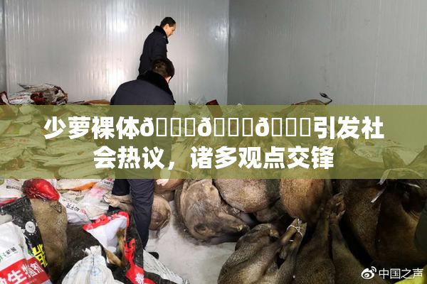 少萝裸体🔞🔞🔞引发社会热议，诸多观点交锋