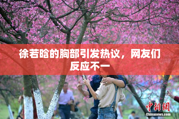 徐若晗的胸部引发热议，网友们反应不一