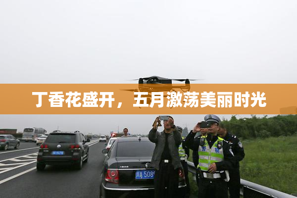 丁香花盛开，五月激荡美丽时光