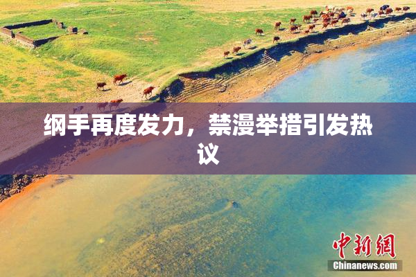 纲手再度发力，禁漫举措引发热议