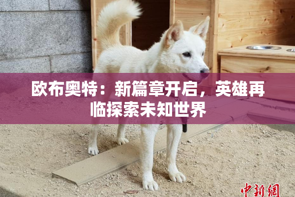 欧布奥特：新篇章开启，英雄再临探索未知世界