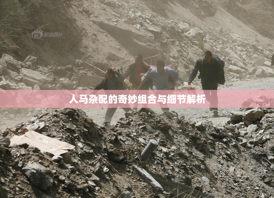 人马杂配的奇妙组合与细节解析