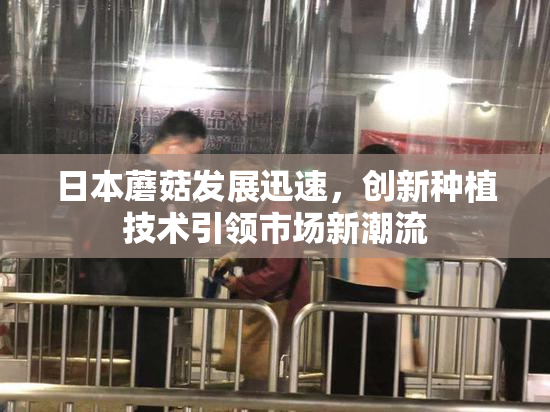 日本蘑菇发展迅速，创新种植技术引领市场新潮流