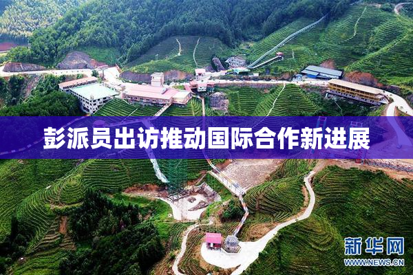 彭派员出访推动国际合作新进展