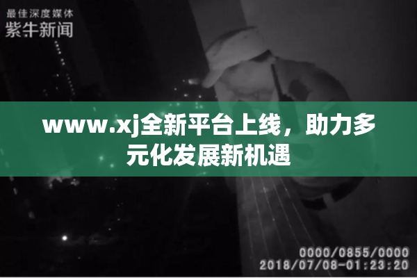 www.xj全新平台上线，助力多元化发展新机遇