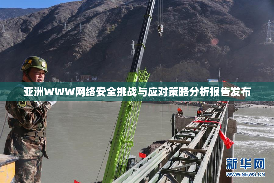 亚洲WWW网络安全挑战与应对策略分析报告发布