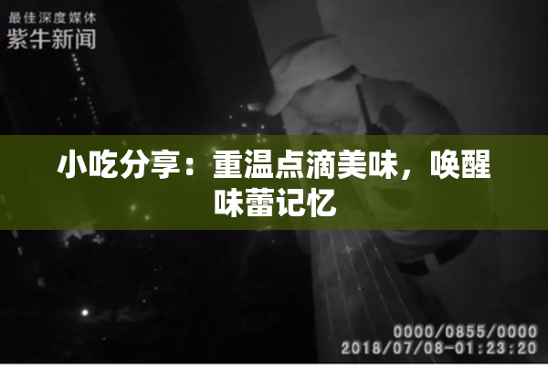 小吃分享：重温点滴美味，唤醒味蕾记忆