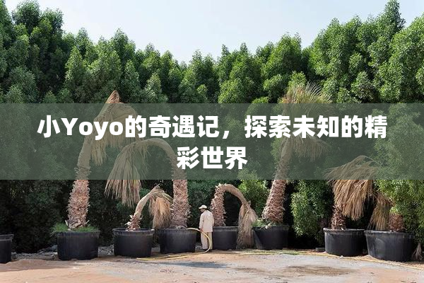 小Yoyo的奇遇记，探索未知的精彩世界
