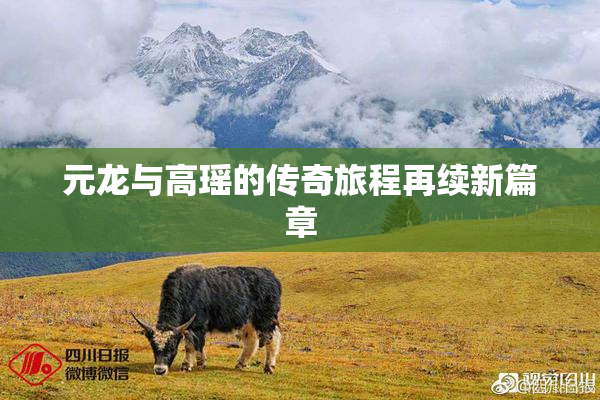 元龙与高瑶的传奇旅程再续新篇章