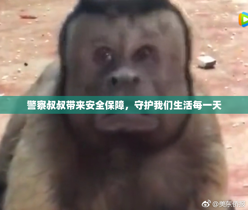 警察叔叔带来安全保障，守护我们生活每一天