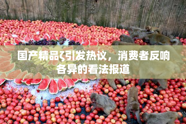国产精品ζ引发热议，消费者反响各异的看法报道