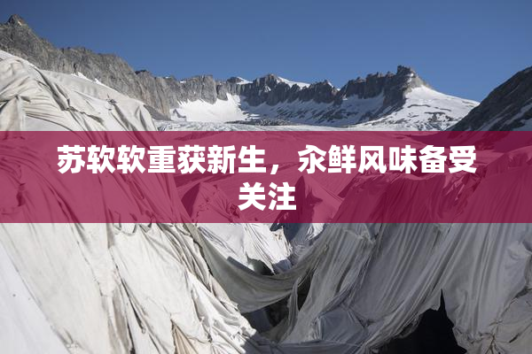苏软软重获新生，汆鲜风味备受关注