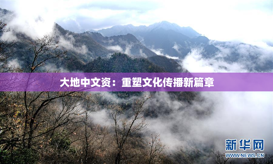 大地中文资：重塑文化传播新篇章