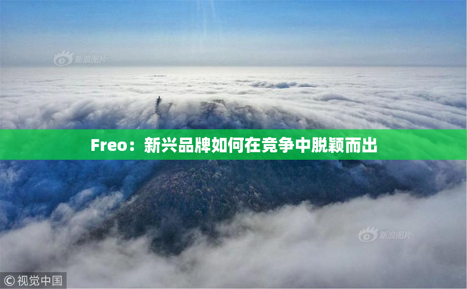 Freo：新兴品牌如何在竞争中脱颖而出