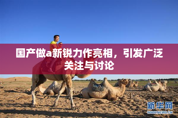 国产做a新锐力作亮相，引发广泛关注与讨论