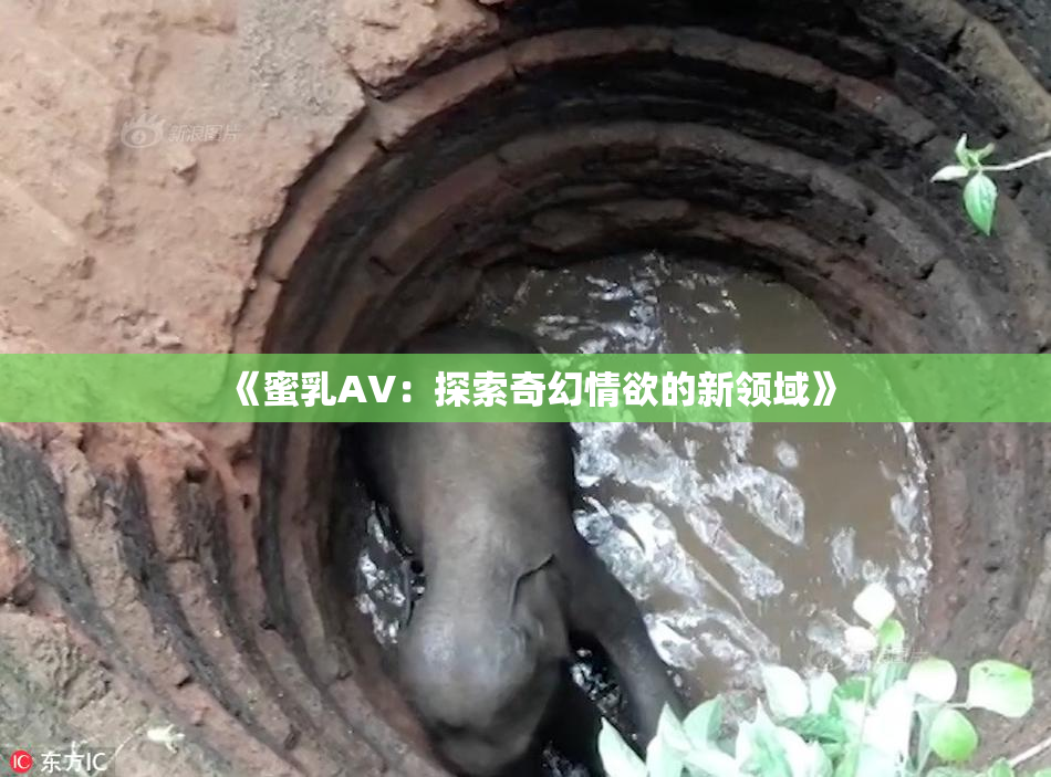 《蜜乳AV：探索奇幻情欲的新领域》