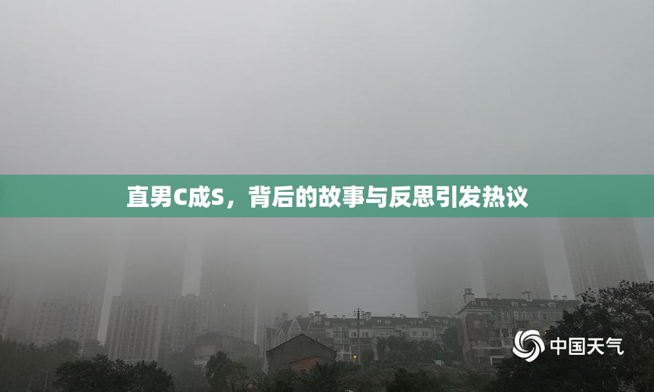 直男C成S，背后的故事与反思引发热议
